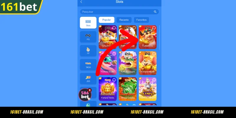 Informações gerais sobre o Fortune Ox